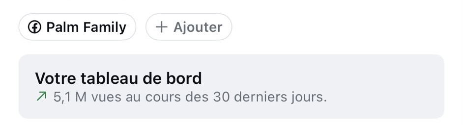 Capture Palm Family présentant ses statistiques de vues