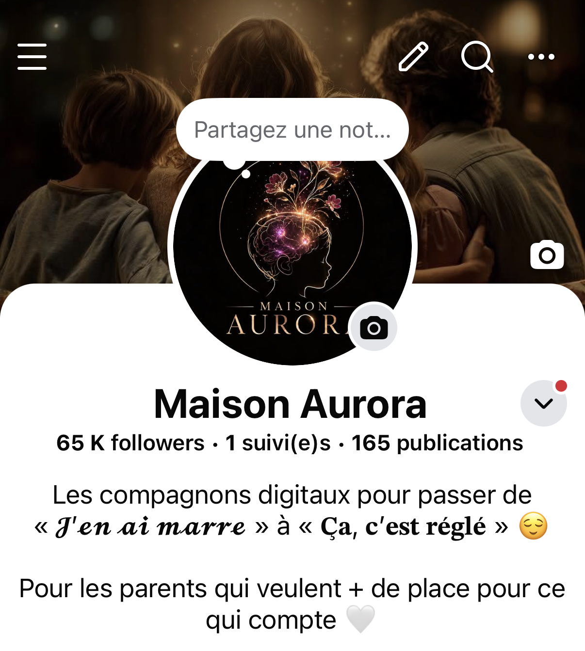 Capture actuelle du compte Facebook Palm Family