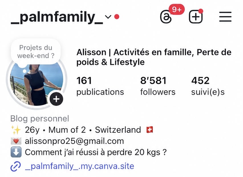 Capture du compte Palm Family avant l’application de la méthode